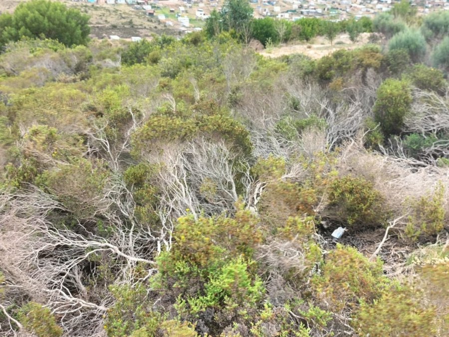 Commercial Property for Sale in N2 Industrial Park Western Cape